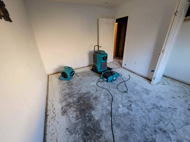 Best Flooded house restoration  in West Hill, OH