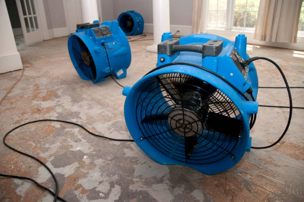 Best Mold removal after water damage  in West Hill, OH