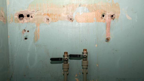 Best Flooded house restoration  in West Hill, OH